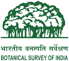 Botanical