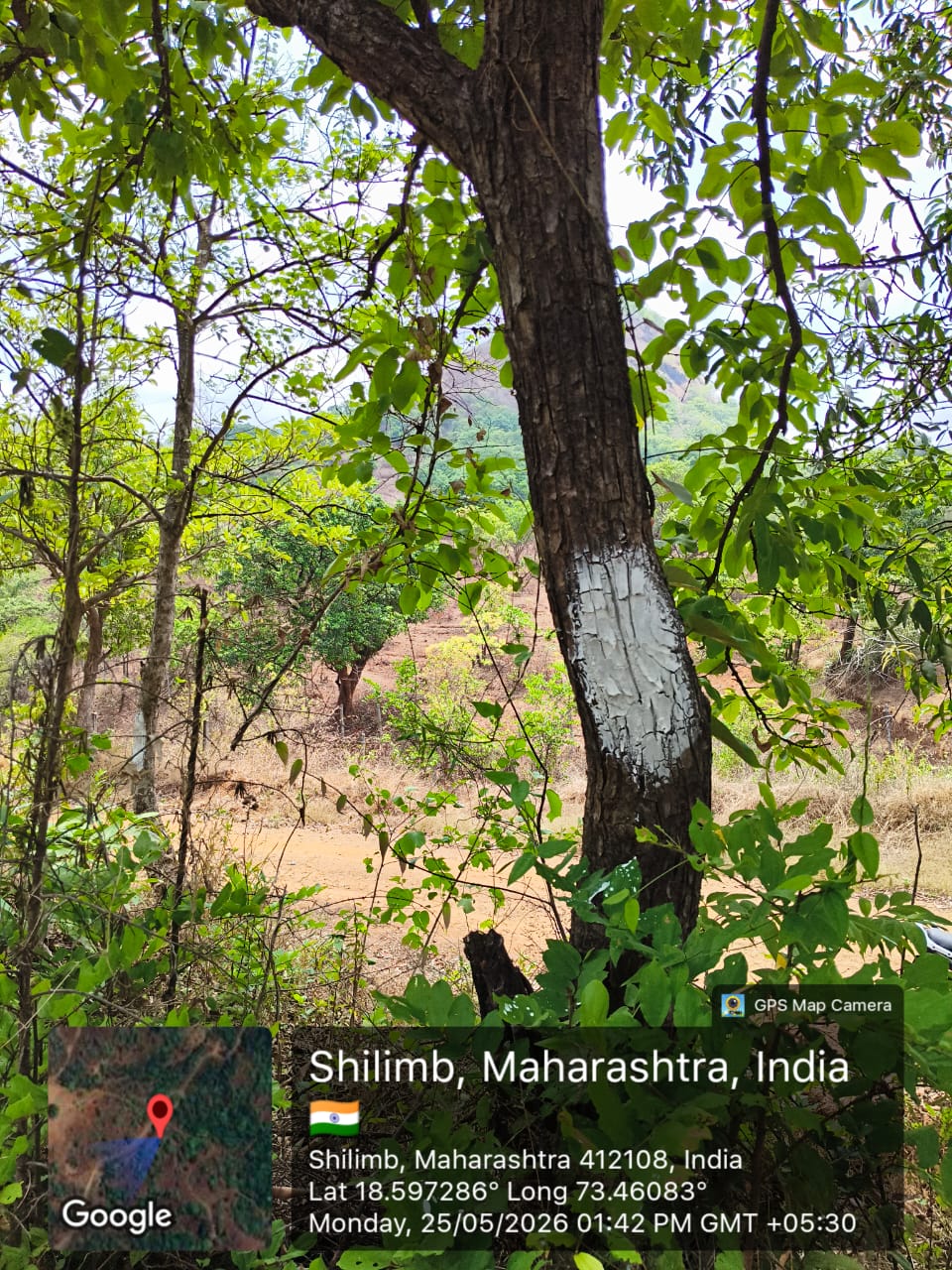 IMG-20260713-WA0020