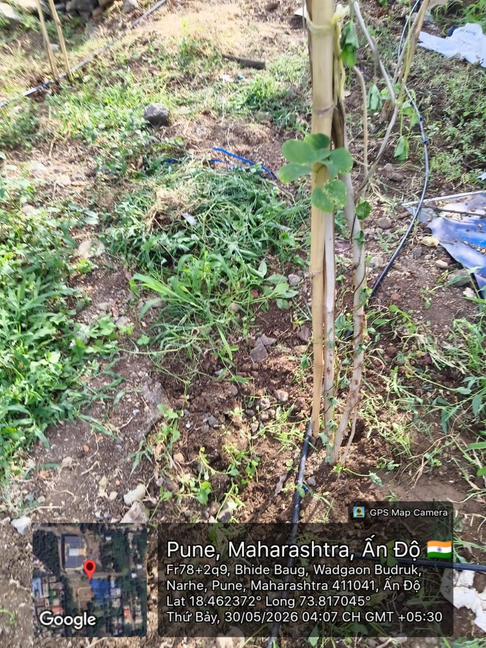 WhatsApp Image 2026-08-12 at 12.47.24